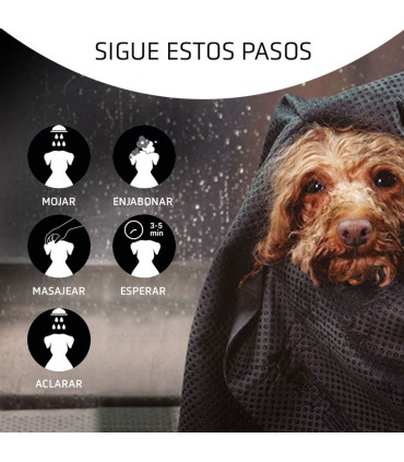 ARTERO CHAMPU DETOX 250ml